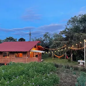 Bruma Blanca Medellín